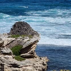 Osprey nest on top of the rocks
