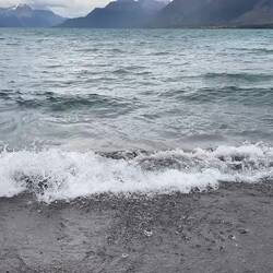 Natur in ihrem Kreislauf – Schönheit und Vergänglichkeit am Chilko Lake.
