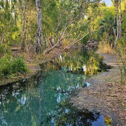 Bitter Springs