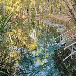 Bitter Springs