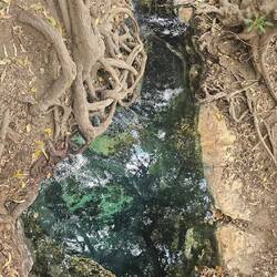 Quelle der Katherine Thermalquellen