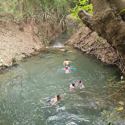 Katherine Thermalquellen