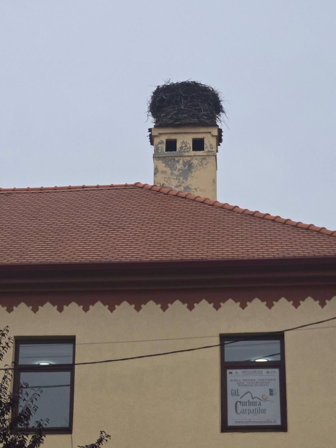 Storck's nest