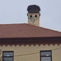 Storck's nest