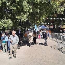 Markt zum Erntedankfest