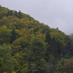 Change color