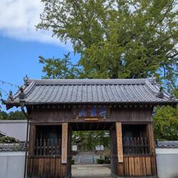 Temple 5