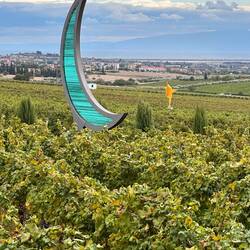 Auf dem Weingut