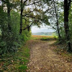 Walking towards mountains