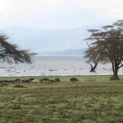 Zufuß unterwegs auf Crescent Island