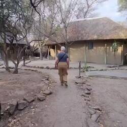 Walking down to the restaurant for brekkie