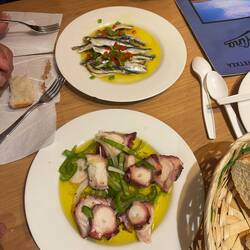 Poached octopus with bitter olive oil, pickled white onions, fresh bell pepper