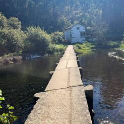 A very different path