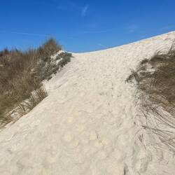 This was the worst part of the trail.