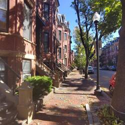 Random Bostoner Nabourhood (white)