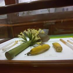 Gardener Museum - alles aus Glas