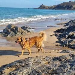 Plage de Vergers