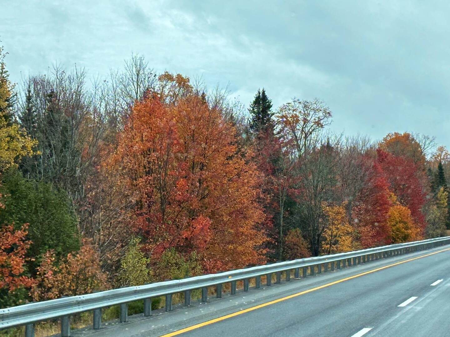 Color on I-95