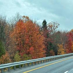 Color on I-95