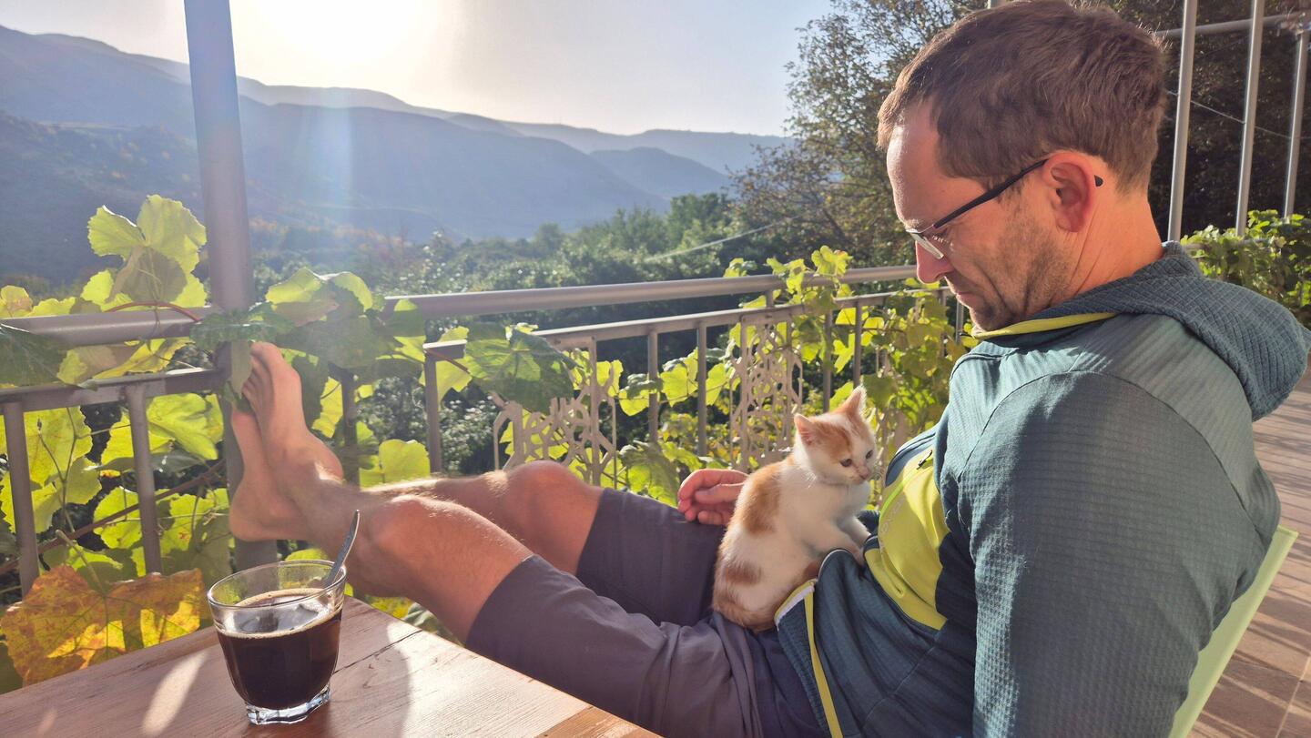 Ein wunderbarer Morgen 🐱