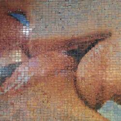 Mural created by single photos "What does living in freedom mean to you"