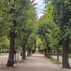 Lots of beautiful avenues.