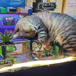 Heute bisschen viel geraucht 😂