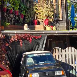 Baie St Paul - Find the dog