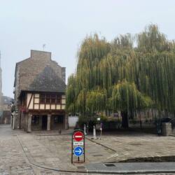 Foggy Dinan