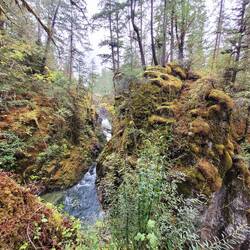 Little Qualicum Falls