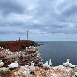 Helgoland