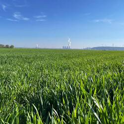Blick auf Garzweiler