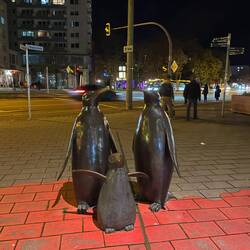 Zählen die Pinguine der europäischen Kulturhauptstadt?