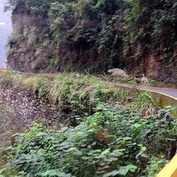 The road to/from the tribal area hugged the Yangtze and was pretty curvy.