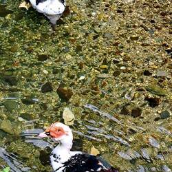 A few fun local area residents.