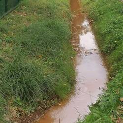 ... und sieht sich das an! Stinkende Kloake.... aber sicher nicht von den Vierbeiner 🤦🙇