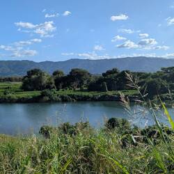 Yoshino river