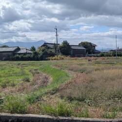 Typical landscape