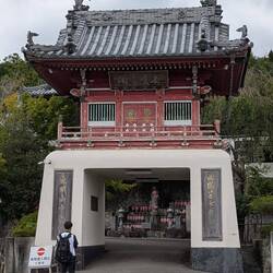 Temple 7