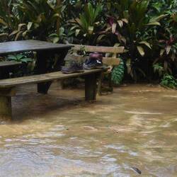 Opted not to have our lunch here