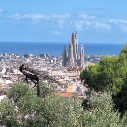 A view of the Sagrada from the Parc
