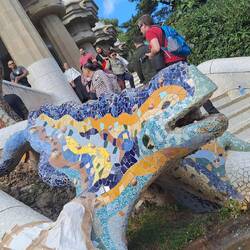 The famous Gaudi Lizard