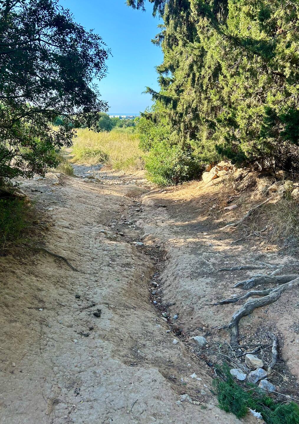 Nächste Spanientour dann mit Mountainbike 🤦🏼‍♀️😃