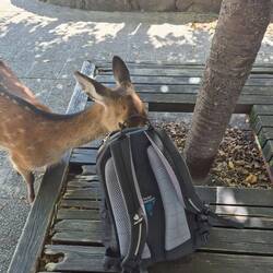 Ob da was zum Fressen drin ist ?