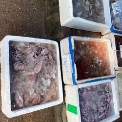 Fish market