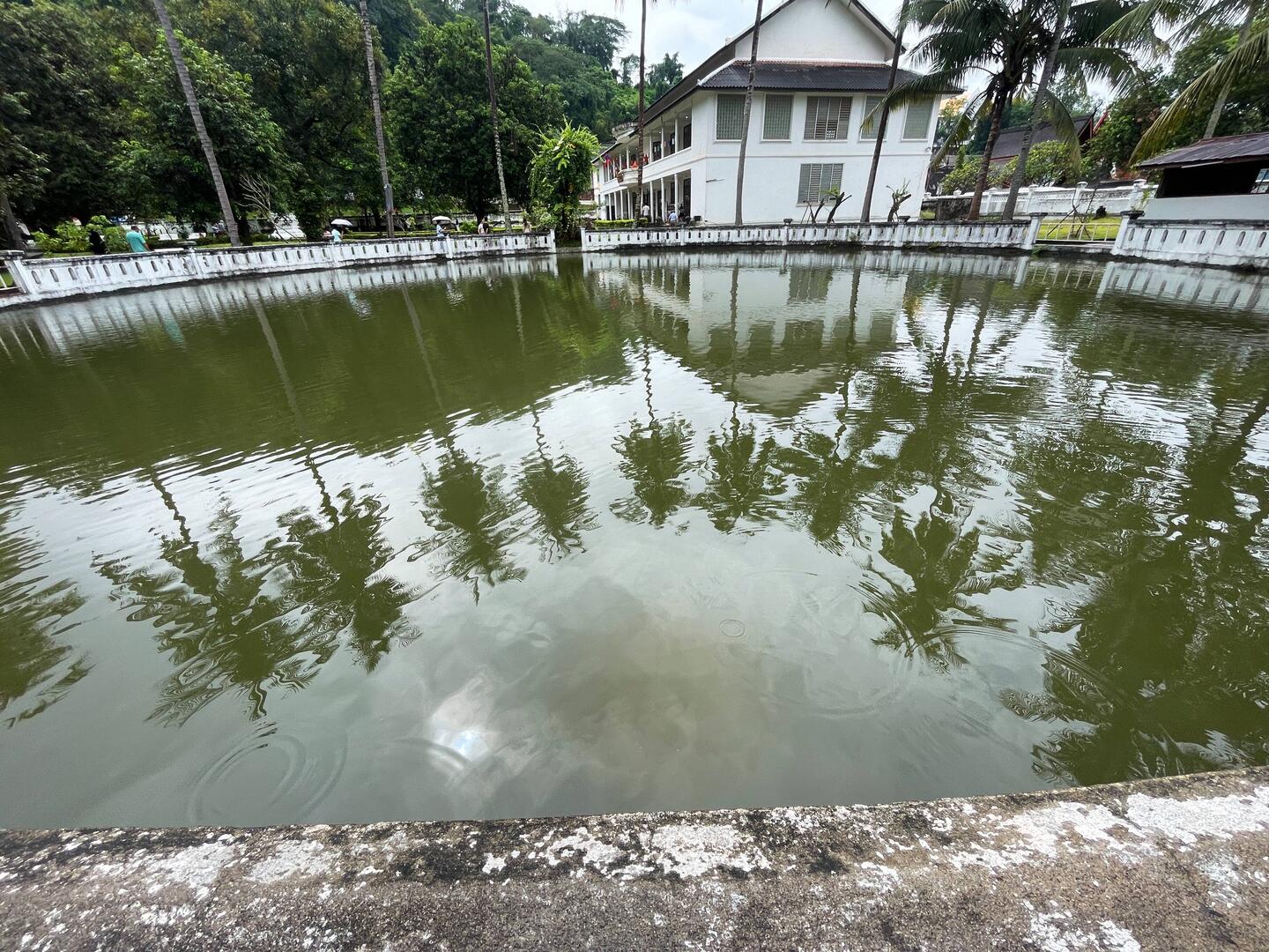 Royal pond