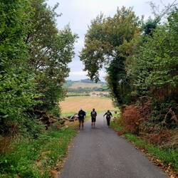 Walking towards the Pyrenees