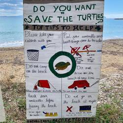 An diesem Strand legen Carettschildkröten ihre Eier ab