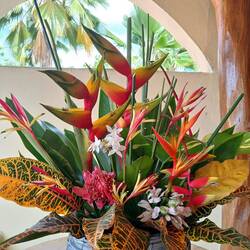 Bey, bei Hotel Britannia.