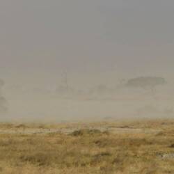 Die Sicht ist durch den Staubsturm z.T. sehr eingeschränkt